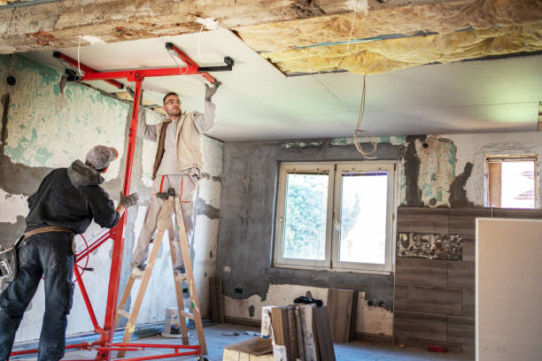 Best Home Insulation Services  in Fountain Inn, SC