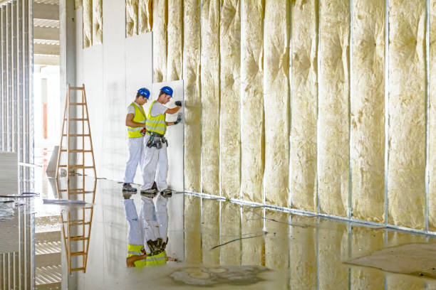 Best Insulation for New Construction  in Fountain Inn, SC